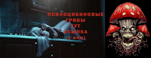 эйфоретик Покров