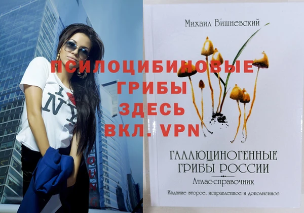 эйфоретик Покров