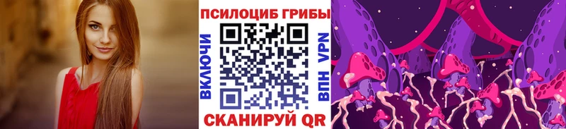 Купить  Тула  Галлюциногенные грибы GOLDEN TEACHER 